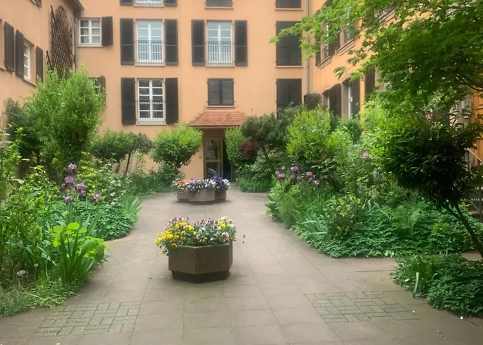 Petit Paradis 74 Grand Rue * Colmar