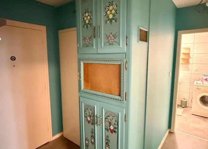 Apartment Petit Paradis 74 Grand Rue Colmar